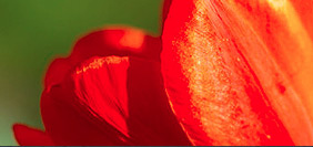 让您更省心的网站攻击软件工具